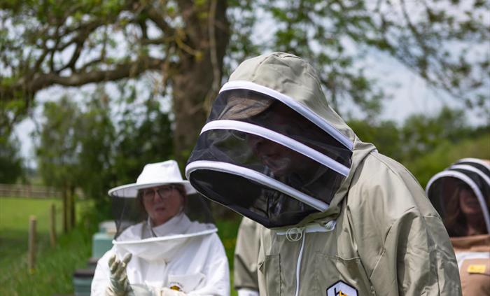 we have bee suits for all shapes and sizes